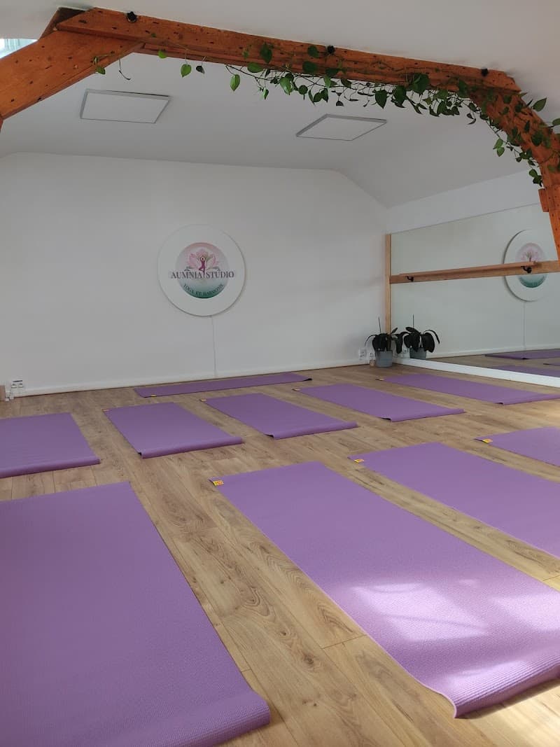 AUMNIA YOGA STUDIO – studio pilates à Achères